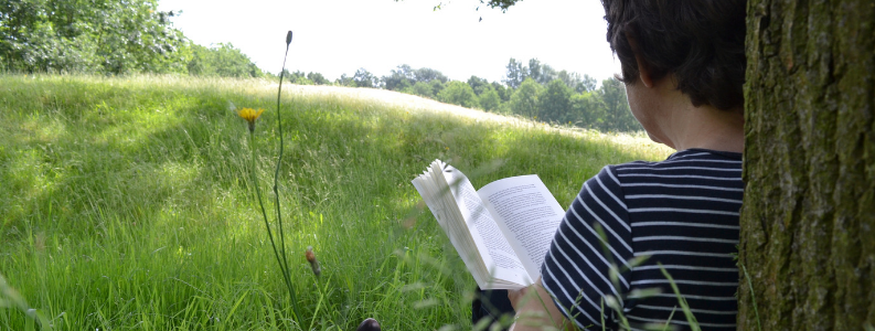 Imagen de una Persona de espaldas apoyada en un árbol mientras lee un libro