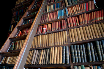 Imagen de una biblioteca con libros