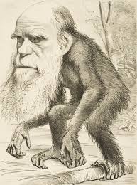 Imagen de un dibujo de un mono con cara de humano
