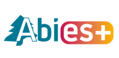 Abies 111 Banner Abies